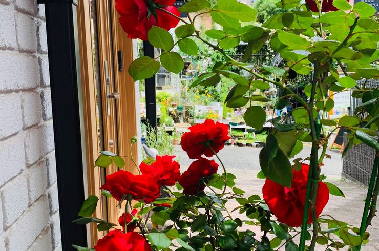 パーソナルトレーニングジム自由が丘