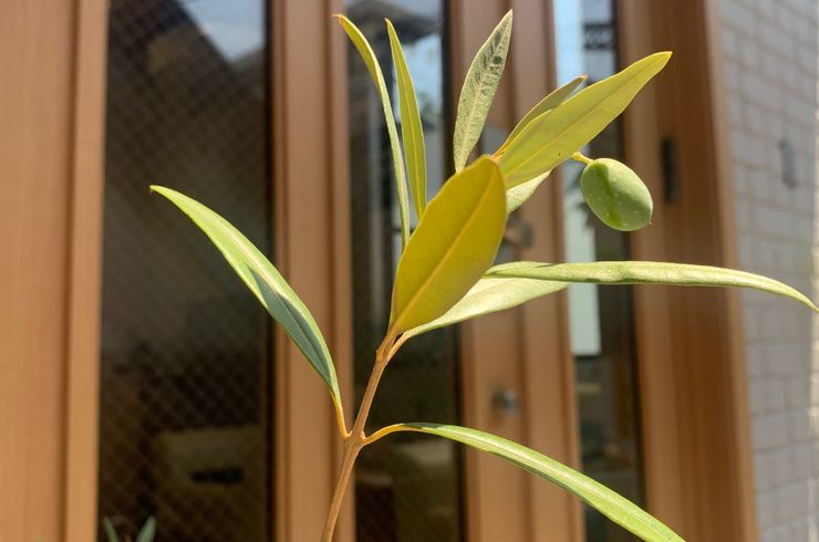 パーソナルジム自由が丘