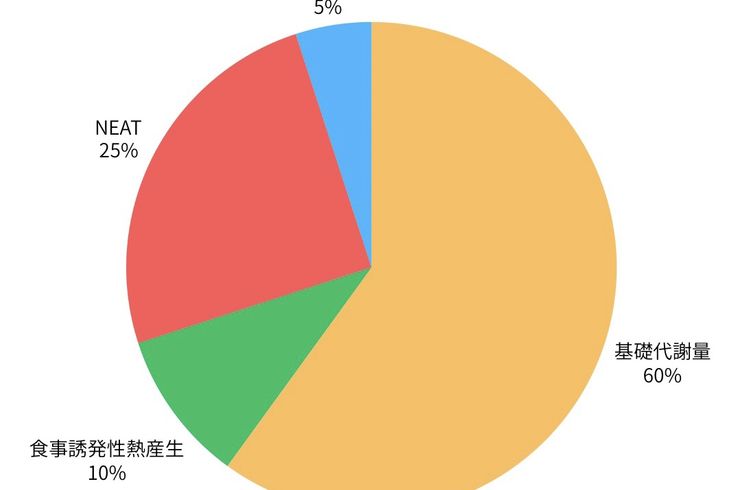 パーソナルジム自由が丘