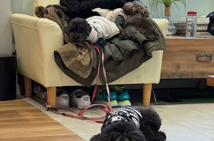 自由が丘のパーソナルジム