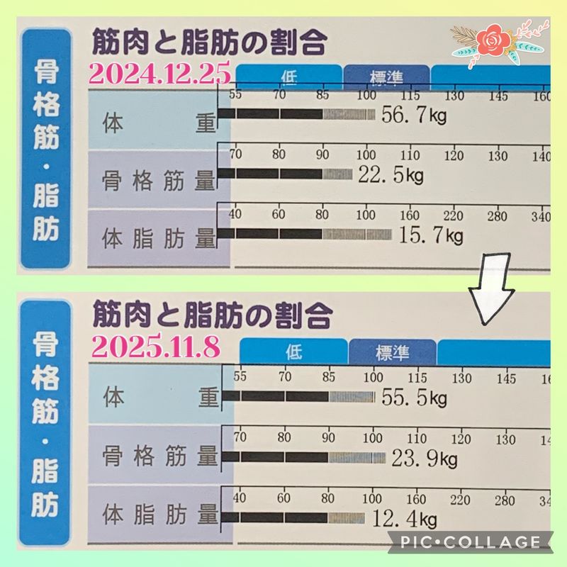 パーソナルトレーニング、体組成の変化
