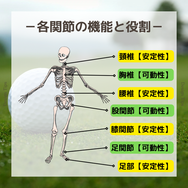 EAB46D21-1924-4428-B0AA-5ADC..