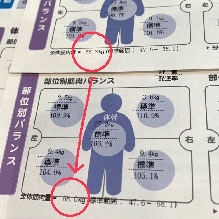 ダイエットで筋肉量アップに成功！