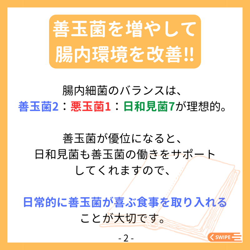 腸活ダイエット資料